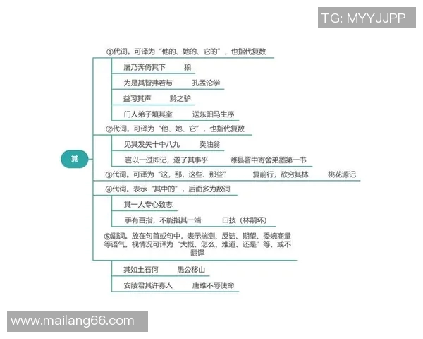 足球明星的成长之路与奋斗精神在中考阅读中的启示