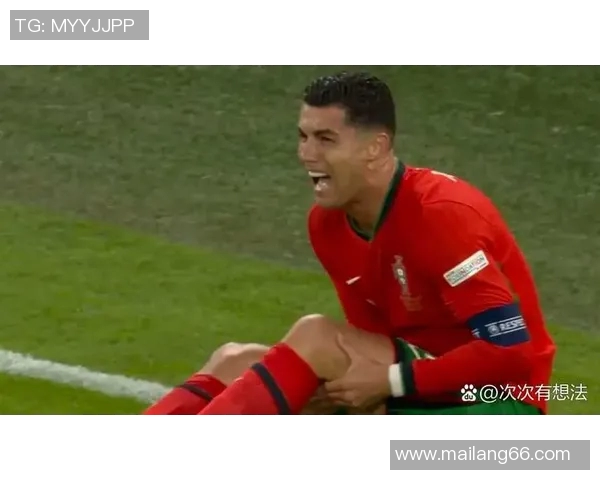 2010年世界杯经典对决回顾葡萄牙与法国的激烈较量与精彩瞬间